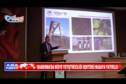 BANDIRMA’DA MİDYE YETİŞTİRİCİLİĞİ SEKTÖRÜ MASAYA YATIRILDI
