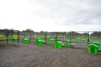 CAN DOSTLARA YENİ YAŞAM ALANI