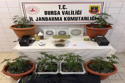 Bursa Nilüfer'de jandarmadan uyuşturucu operasyonu