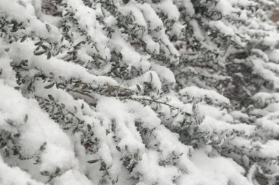 KAPIDAĞ BEYAZA BÜRÜNDÜ