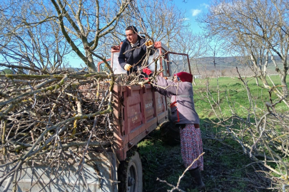 BİGADİÇ’TE MİLLET BAHÇESİ’NDE BAKIM ÇALIŞMALARI