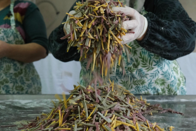 KOOPERATİF MUTFAĞINDAN LEZZETLİ ERİŞTELER