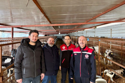 BALIKESİR’DE BÜYÜKBAŞ HAYVANCILIKTA BİYOGÜVENLİK DENETİMİ