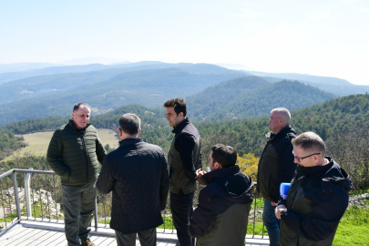 BALIKESİR ORMANLARINDA YANGINA DİRENÇLİ ÇALIŞMALAR SÜRÜYOR