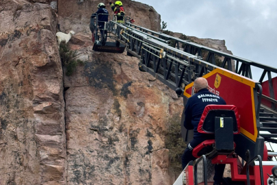 KAYALIKLARDA MAHSUR KALAN KEÇİ KURTARILDI