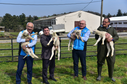 BAÜN HAYVANCILIK ÇİFTLİĞİNDE RENKLİ ANLAR