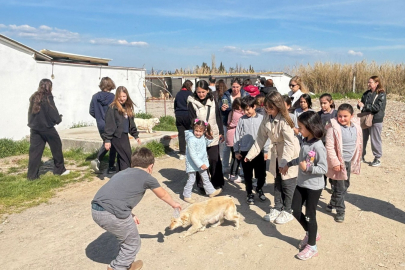 MİNİKLERDEN PATİLİ DOSTLARA ZİYARET