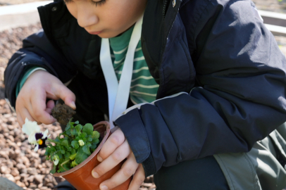 İstanbul Maltepe'de 'tarım parkı' minikleri ağırladı