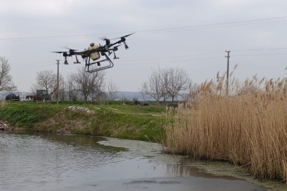 MANYAS’TA LARVA MÜCADELESİNDE İLK ETAP TAMAMLANDI