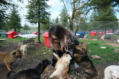 ALTIEYLÜL’DE CAN DOSTLARA BÜYÜK DESTEK