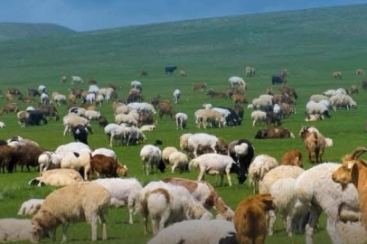 Kırsalda Bereket başvurularında son gün 30 Nisan