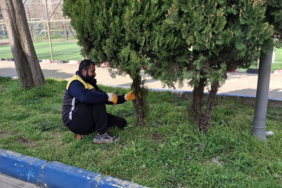 SUSURLUK’TA ÇEVRE DÜZENLEME ÇALIŞMALARI