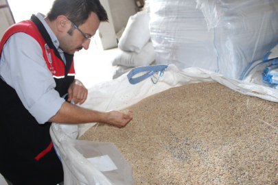 ÇELTİK ÜRETİMİNDE TEKNOLOJİK DÖNÜŞÜMLE KAYIPLAR AZALTILIYOR