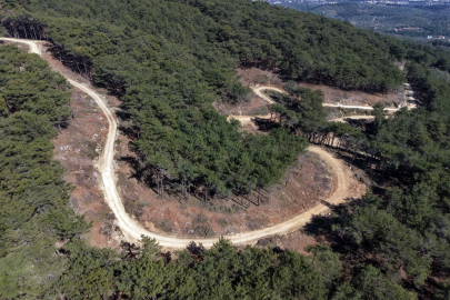 ORMAN YOLLARINDA YOL KENARI BAKIMLARI HIZ KAZANDI