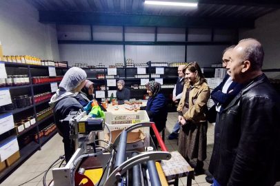 BALIKESİR İL TARIM’DAN ZEYTİN ÜRETİMİNE YAKIN TAKİP