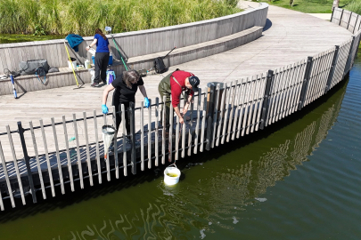İzmit Millet Bahçesi’nde su göletine bilimsel çalışma