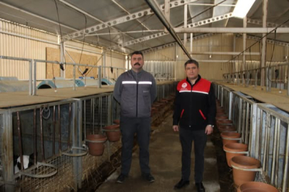 BALIKESİR’DE KKYDP DESTEĞİYLE HAYVANCILIKTA DİJİTAL DÖNÜŞÜM