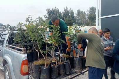 Alanya’nın coğrafi işaretli keçiboynuzuna destek