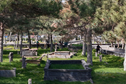 Kayseri'de 'yeşil' seferberlik