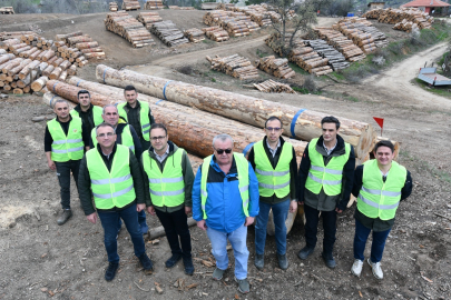 BİGADİÇ ORMAN DEPOSUNDA KARAÇAM TOMRUKLAR İÇİN SATIŞ HAZIRLIĞI