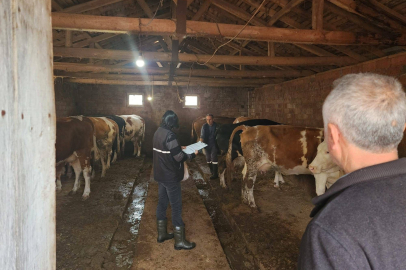 ALTIEYLÜL’DE HAYVAN SAĞLIĞI İÇİN SAHAYA İNİLDİ