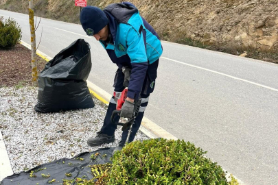 DURSUNBEY’DE YEŞİL ALANLAR YENİLENDİ