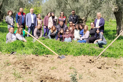 HAVRAN’DA GENÇLER FİDAN DİKTİ, TARİHİ ALANLARI GEZDİ