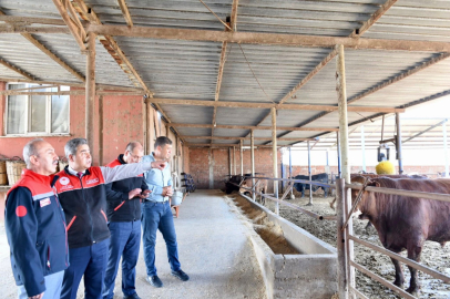 BALIKESİR’DE KURBAN ÖNCESİ İŞLETMELERE SIKI DENETİM