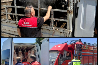 BALIKESİR’DE KURBANLIK SEVKLERİNE SIKI DENETİM