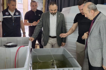 DENİZ PATLICANLARI MARMARA DENİZİ’NE SALINDI