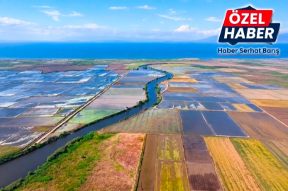 GÖNEN OVASI'NDA ÇELTİK EKİM SEZONU BAŞLADI