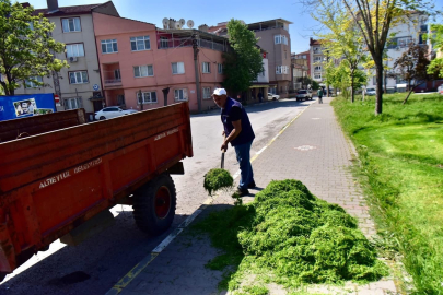 ALTIEYLÜL EKİPLERİ ÇALIŞMALARI SÜRDÜRÜYOR