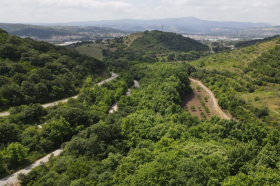 BALIKESİR'DE YANGIN TEDBİRLERİ AÇIKLANDI