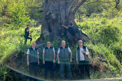 BİGADİÇ’TE GAL ARISIYLA MÜCADELEYE START VERİLDİ