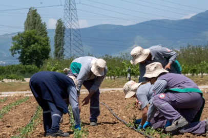 Hektaş’tan Orta Asya Ve Afrika Atağı