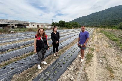 ERDEK’TE ALTERNATİF TARIM HAMLESİ