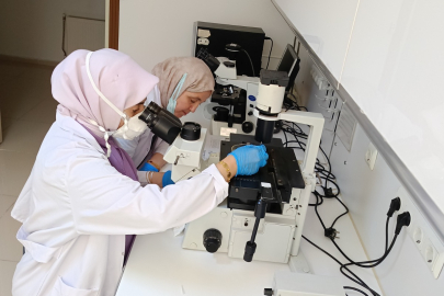 ZOOPLANKTON ARAŞTIRMALARINA BANDIRMA'DAN TEKNİK DESTEK